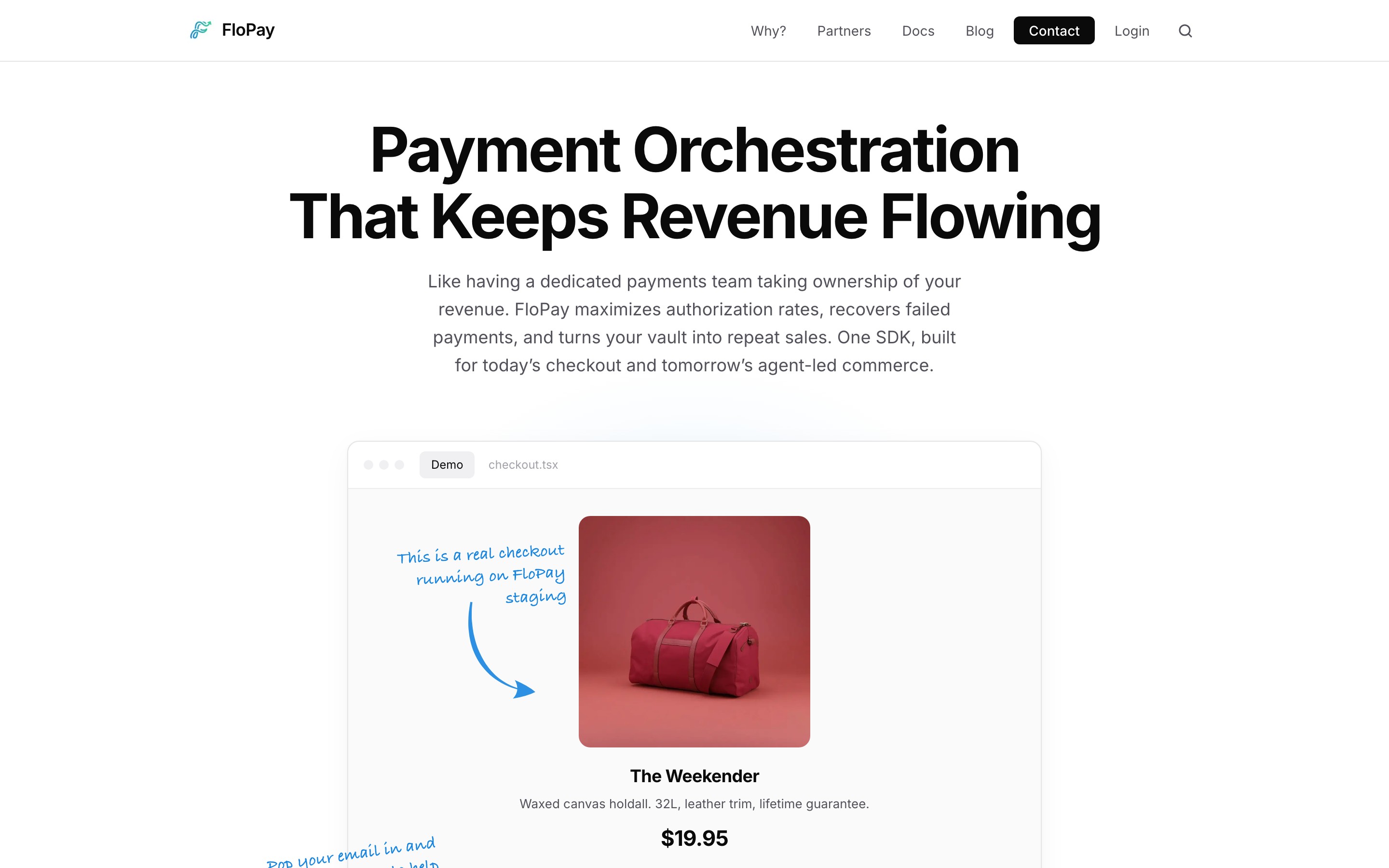 FloPay landing page — first screen